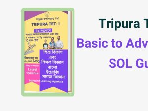 The Tripura Teacher Eligibility Test (TET) comprises two papers, each tailored to assess the competencies required for teaching at different educational levels. Below is a concise overview of the syllabus for both papers: